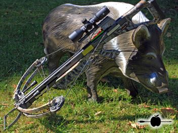 FireForce 2015 (2425)