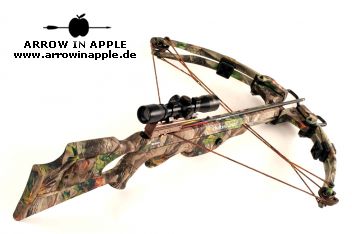 Pro Elite QX 4 (779)