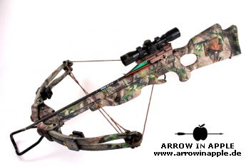 Pro Elite QX 4 (786)