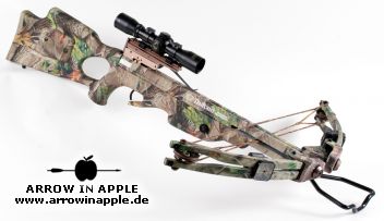 Pro Elite QX 4 (906)