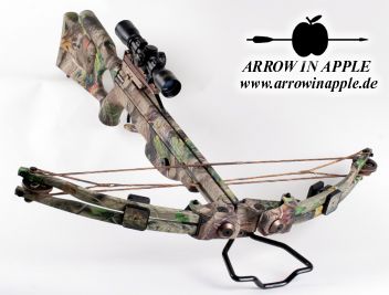 Pro Elite QX 4 (973)