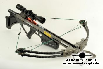 Stinger Carbondesign (1048)