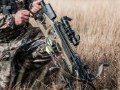 Assassin Extreme 400 Flat Dark Earth (4369)