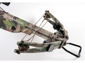 Pro Elite QX 4 (977)