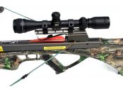 Stinger (385)