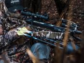 Wolverine Bottomland (40th Anniversary) (4364)