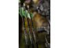 20" TenPoint ACU-X 20 Premium Carbon, 2" Blazer Vanes, .001, Messing Insert, ACU-X Snap-On Nock gr&uuml;n (5354)