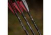 20" TenPoint EVO-X CenterPunch,  3" X Vanes L, .001, Messing Insert, Alpha Nock HPX rot (4652)