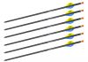 20" ArcherOpterX Evolution, 2" Blazer Vanes, .001, Messing Insert, Ravin Nock (6 pk) (3805)