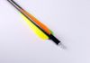 20 Zoll Firebolt Carbon (1381)